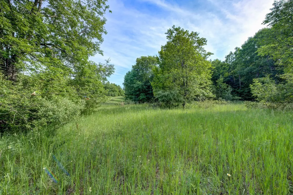 Lot 9 W Harbour Ridge Cleveland Township MI 49664