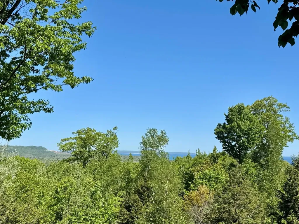Lot 9 W Harbour Ridge Cleveland Township MI 49664