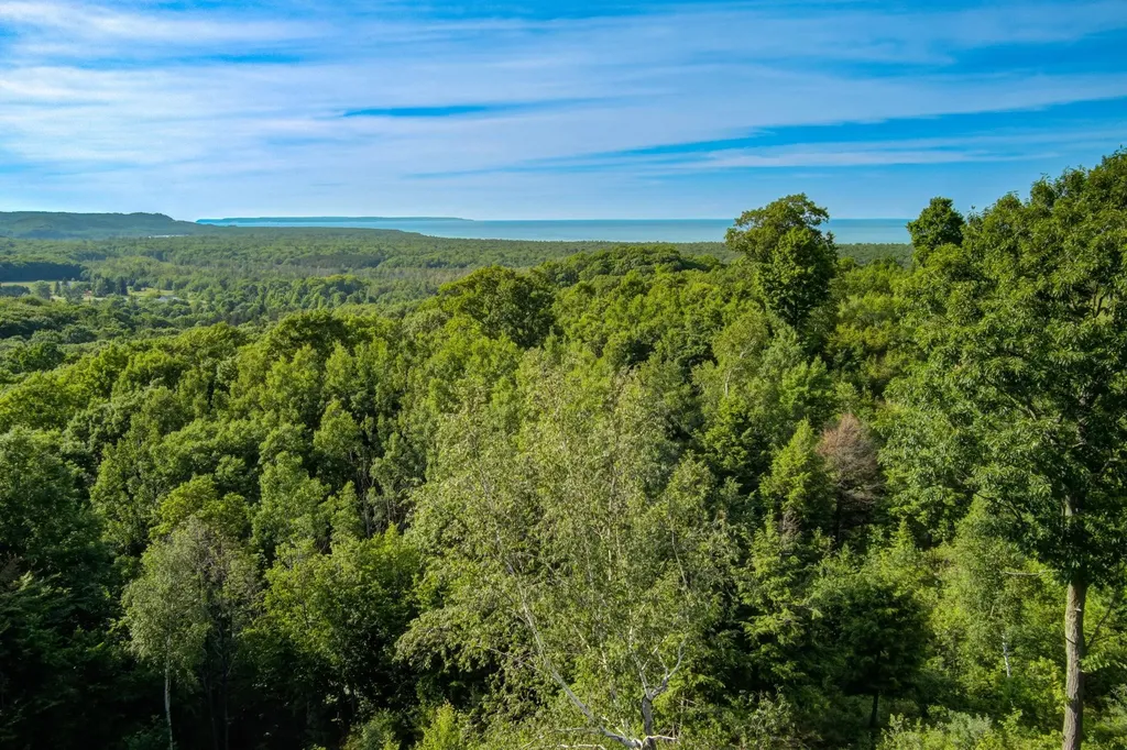 Lot 9 W Harbour Ridge Cleveland Township MI 49664