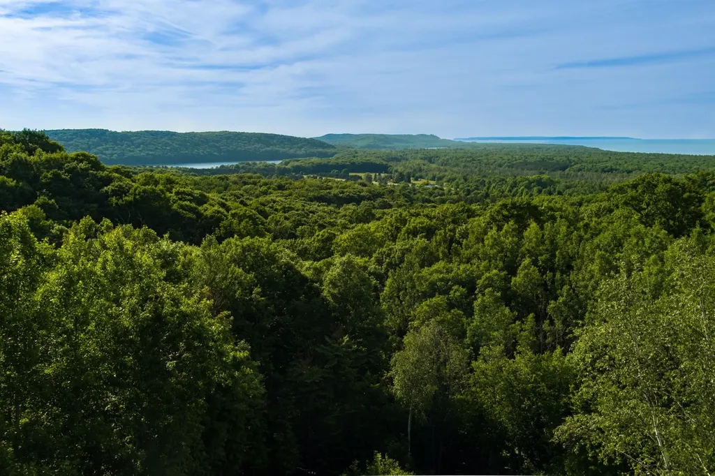 Lot 9 W Harbour Ridge Cleveland Township MI 49664