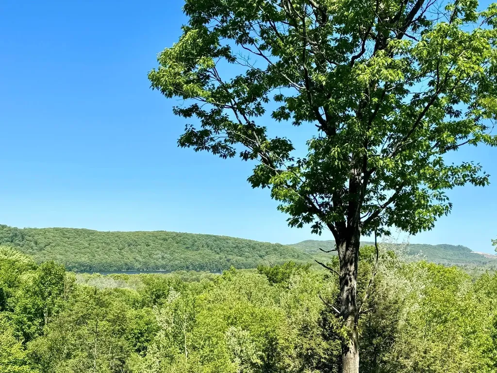 Lot 9 W Harbour Ridge Cleveland Township MI 49664