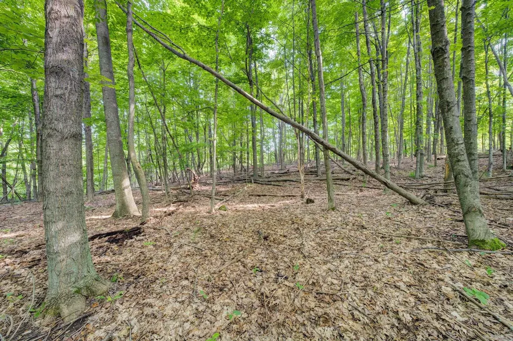 Lot 27 W Harbour Ridge Cleveland Township MI 49664