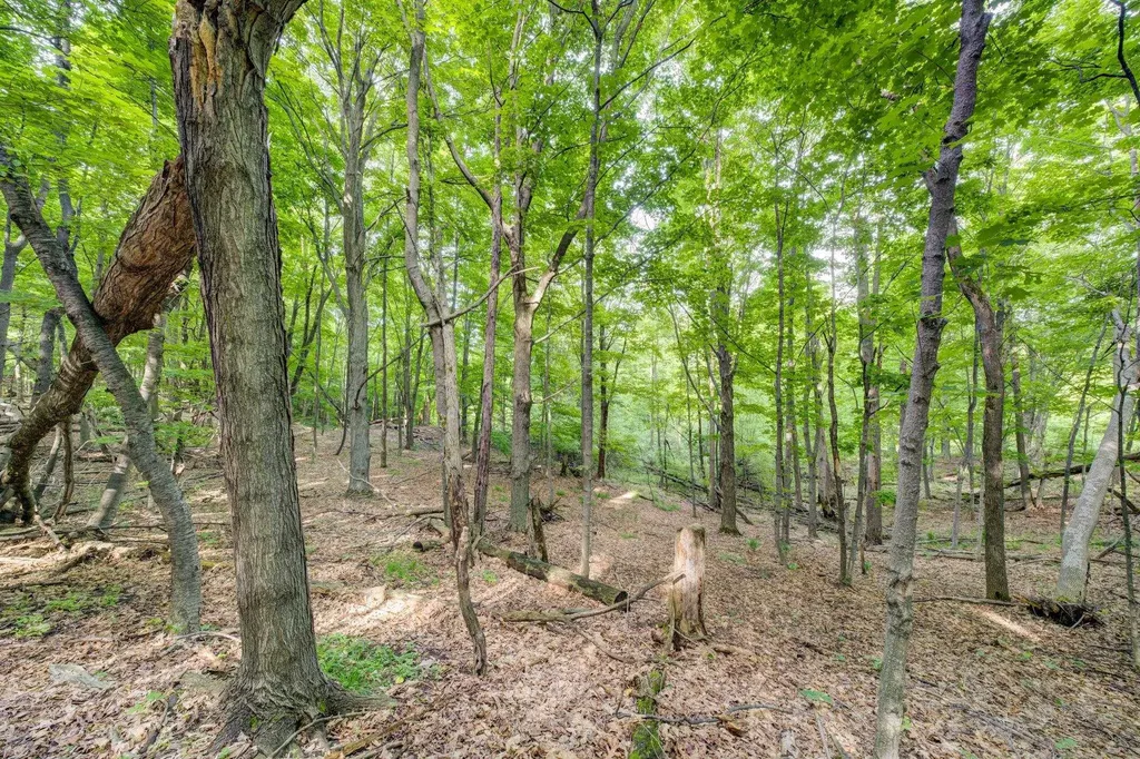 Lot 27 W Harbour Ridge Cleveland Township MI 49664