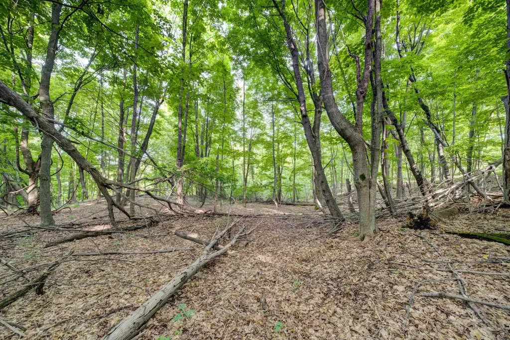 Lot 27 W Harbour Ridge Cleveland Township MI 49664