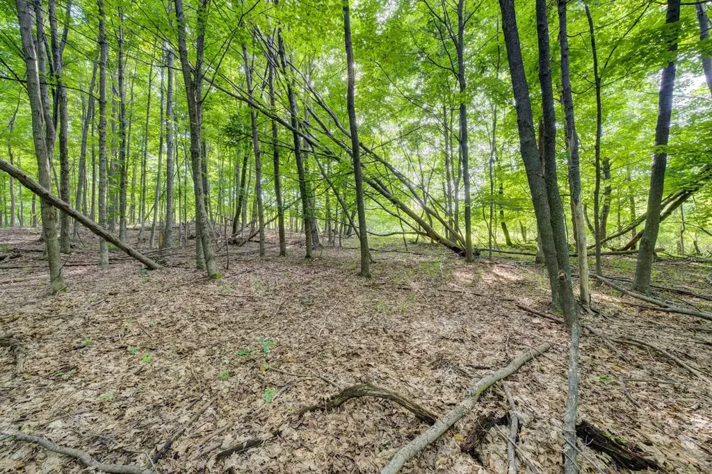 Lot 27 W Harbour Ridge Cleveland Township MI 49664