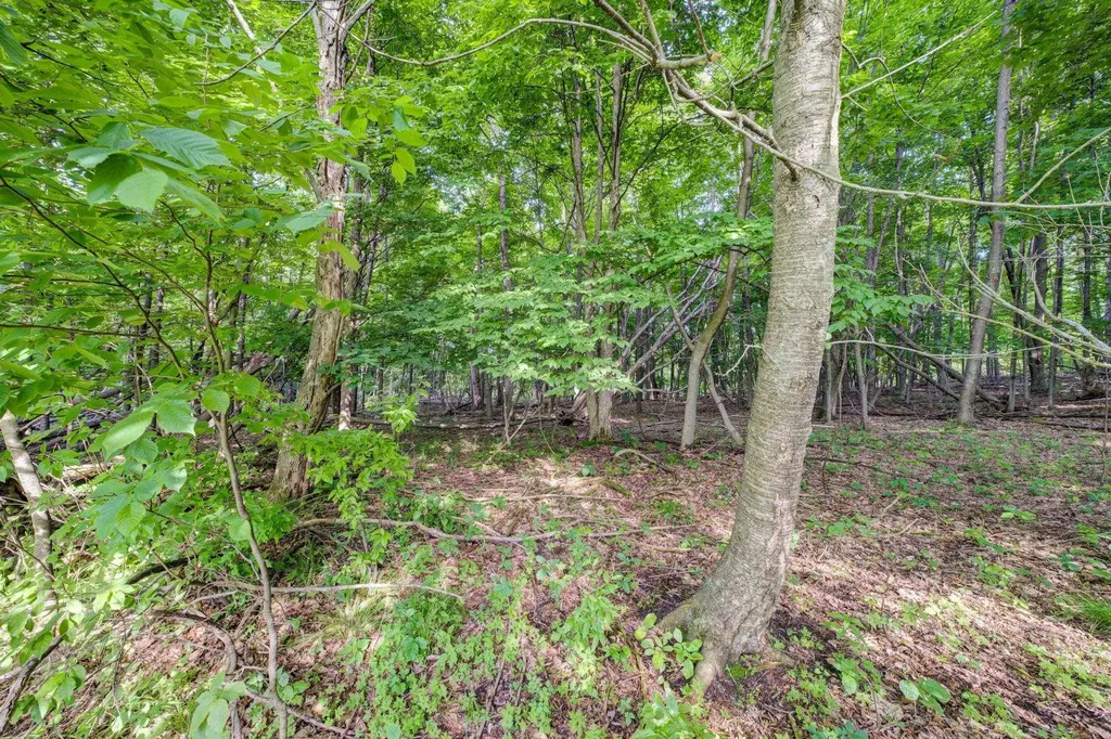 Lot 27 W Harbour Ridge Cleveland Township MI 49664