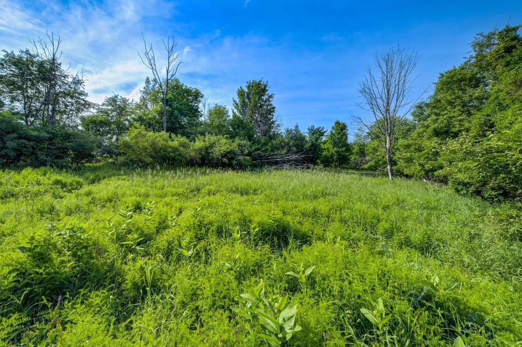 Lot 27 W Harbour Ridge Cleveland Township MI 49664
