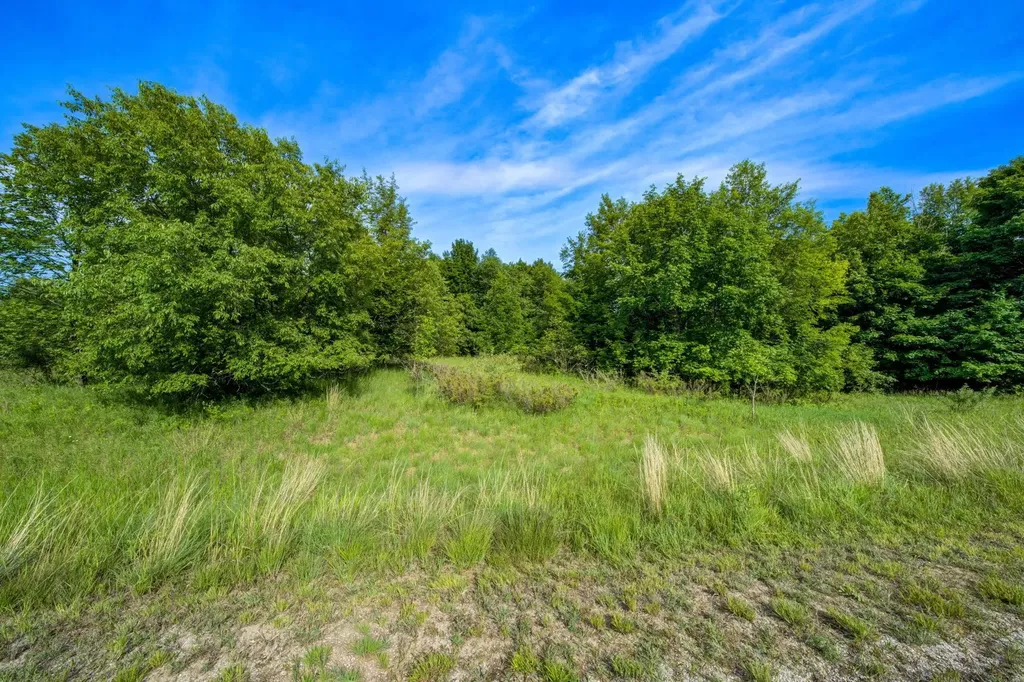 Lot 27 W Harbour Ridge Cleveland Township MI 49664