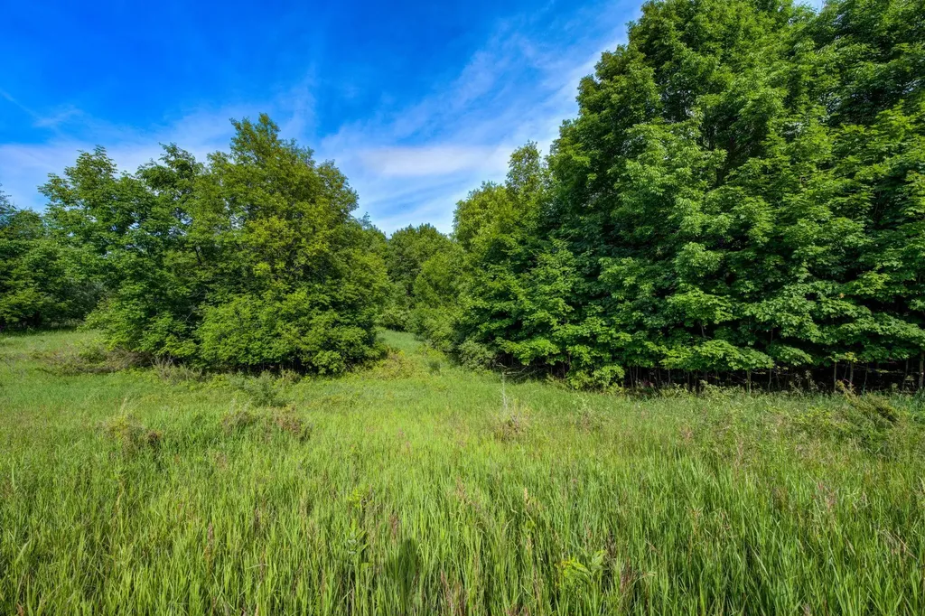 Lot 27 W Harbour Ridge Cleveland Township MI 49664