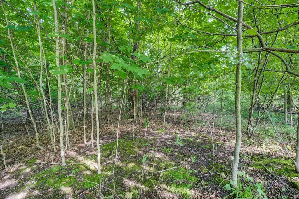 Lot 27 W Harbour Ridge Cleveland Township MI 49664