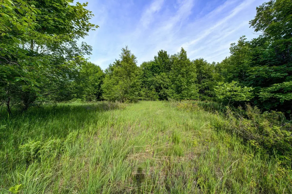 Lot 27 W Harbour Ridge Cleveland Township MI 49664