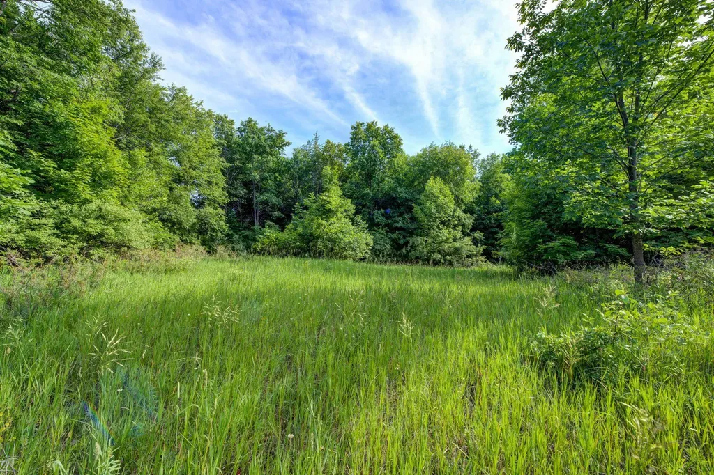 Lot 27 W Harbour Ridge Cleveland Township MI 49664