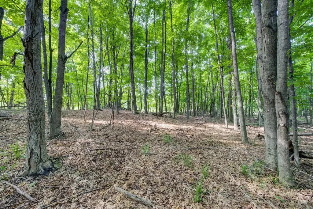 Lot 27 W Harbour Ridge Cleveland Township MI 49664