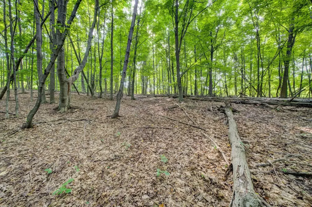 Lot 27 W Harbour Ridge Cleveland Township MI 49664