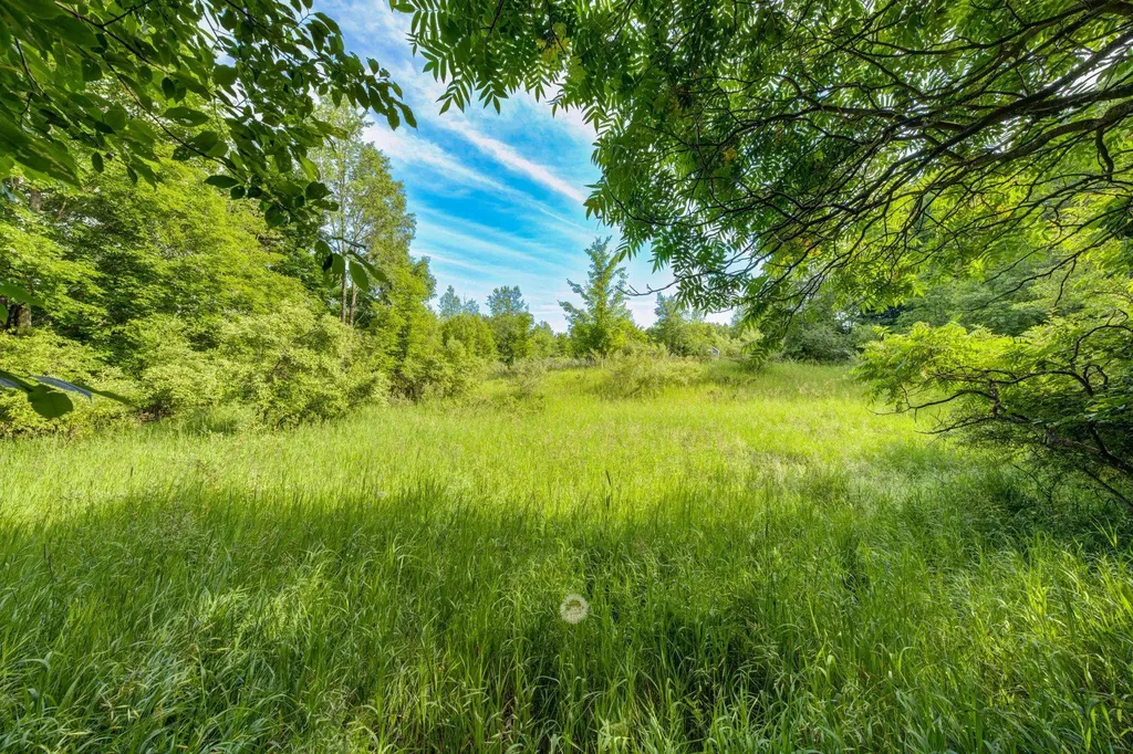 Lot 27 W Harbour Ridge Cleveland Township MI 49664