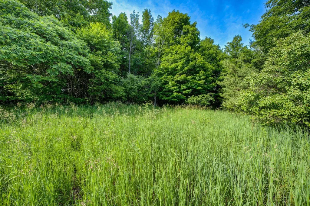 Lot 27 W Harbour Ridge Cleveland Township MI 49664