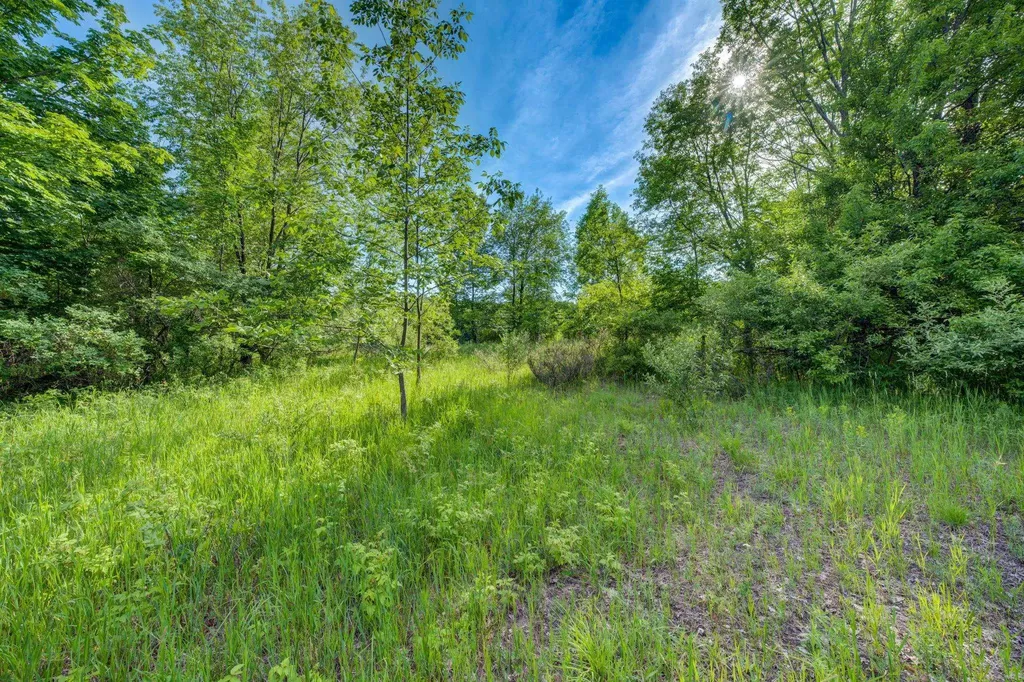 Lot 27 W Harbour Ridge Cleveland Township MI 49664