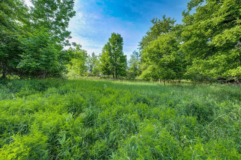 Lot 27 W Harbour Ridge Cleveland Township MI 49664