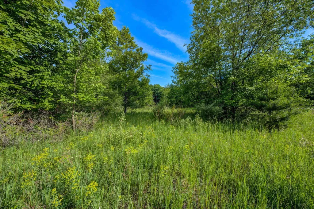 Lot 27 W Harbour Ridge Cleveland Township MI 49664
