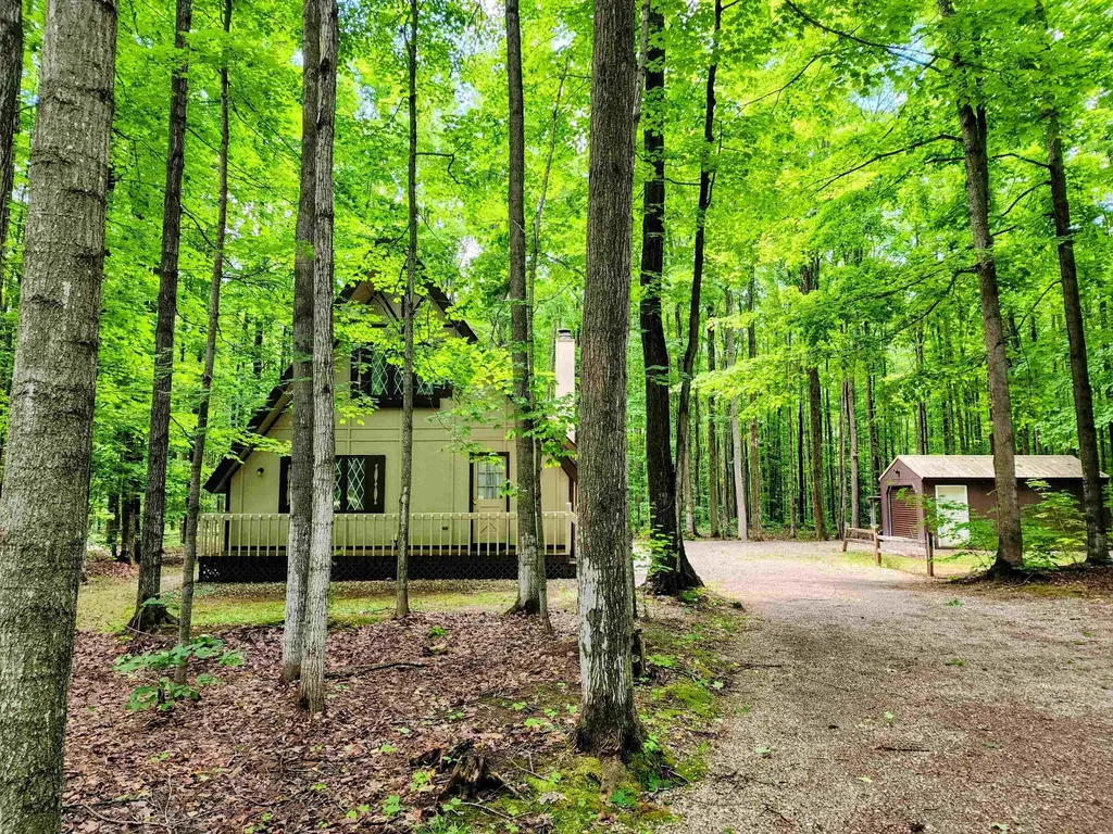 5834 Forestgrove Drive Star Township MI 49730