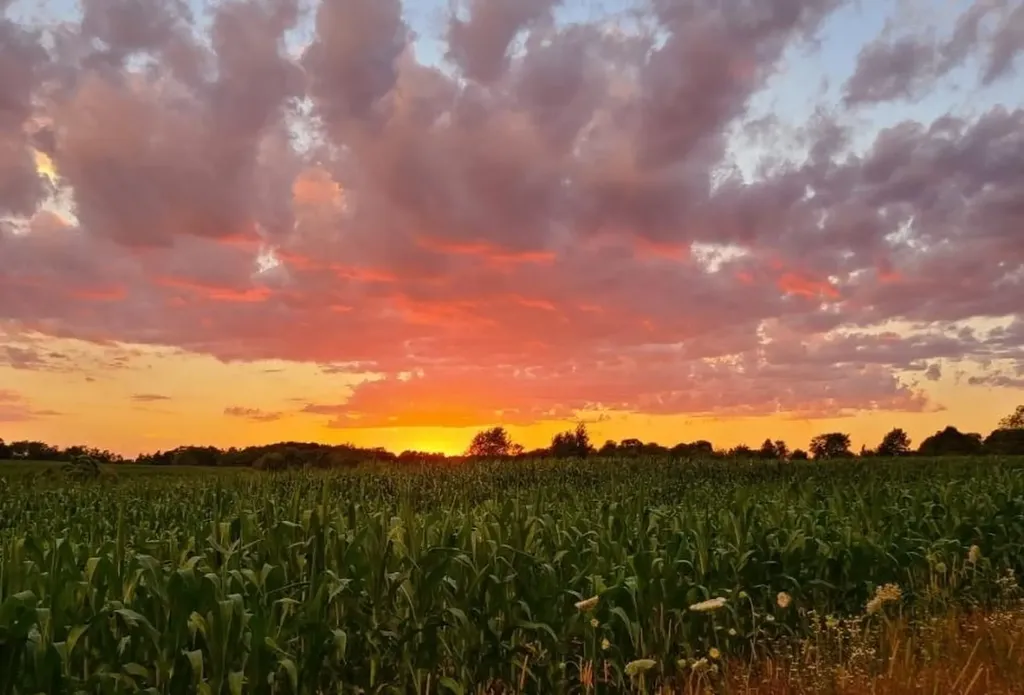 7615 Pleasant Hill Road Banks Township MI 49729