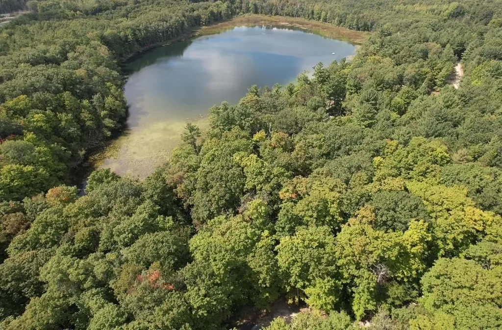 16568 Wagner Road Almira Township MI 49650