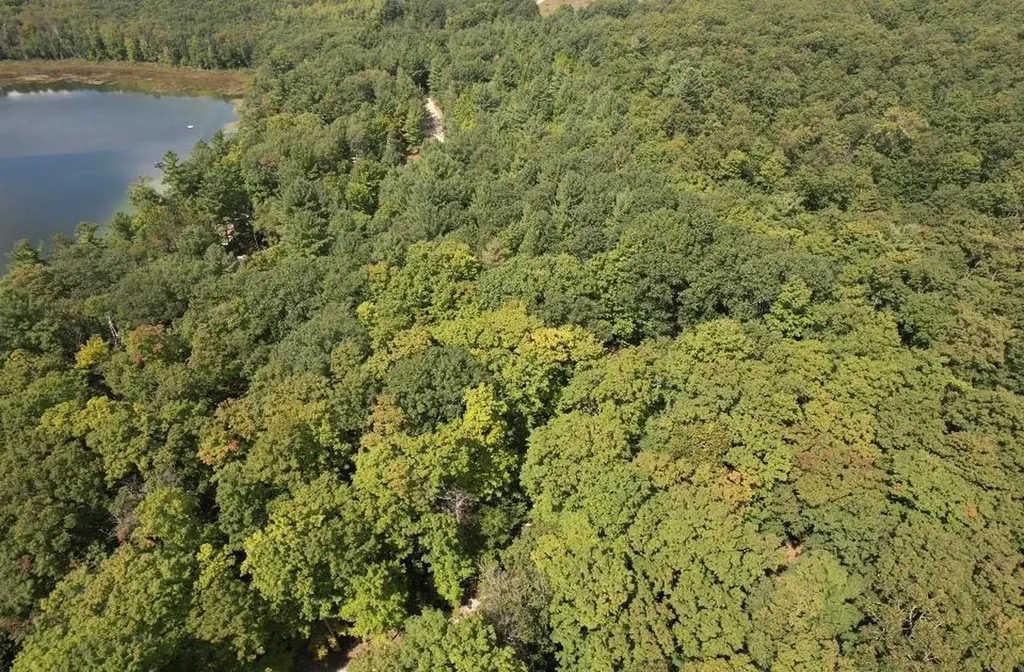 16568 Wagner Road Almira Township MI 49650