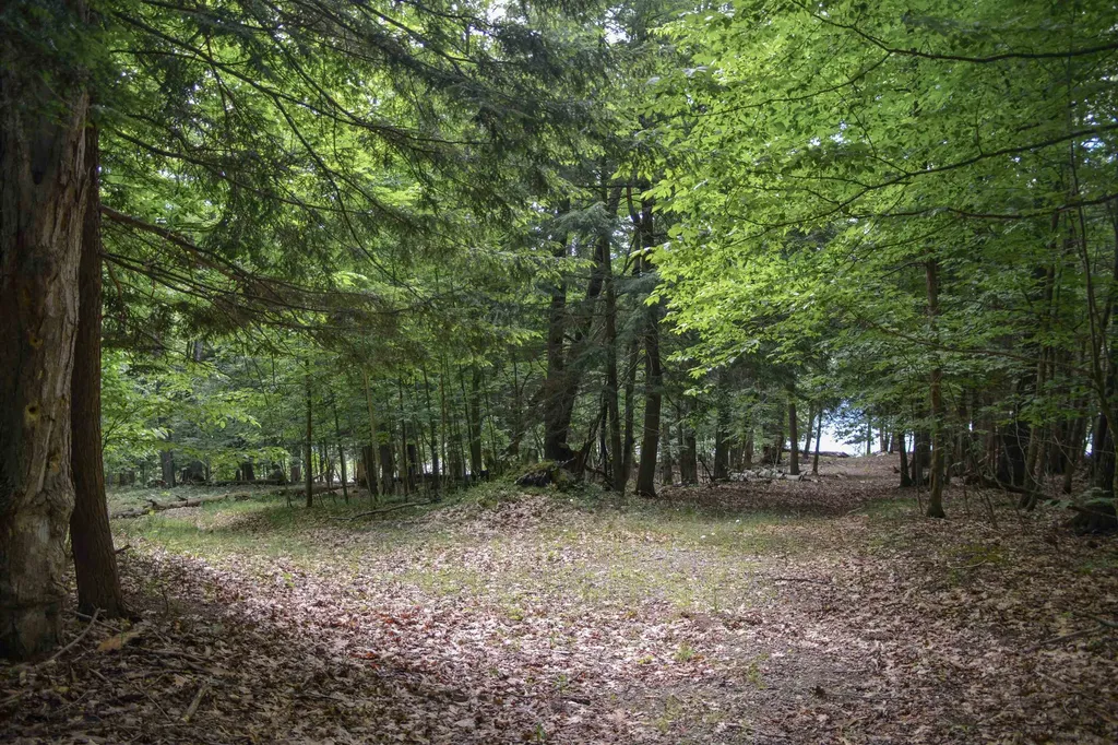 16568 Wagner Road Almira Township MI 49650