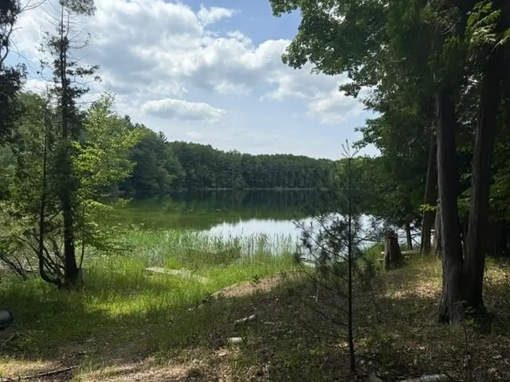 16568 Wagner Road Almira Township MI 49650