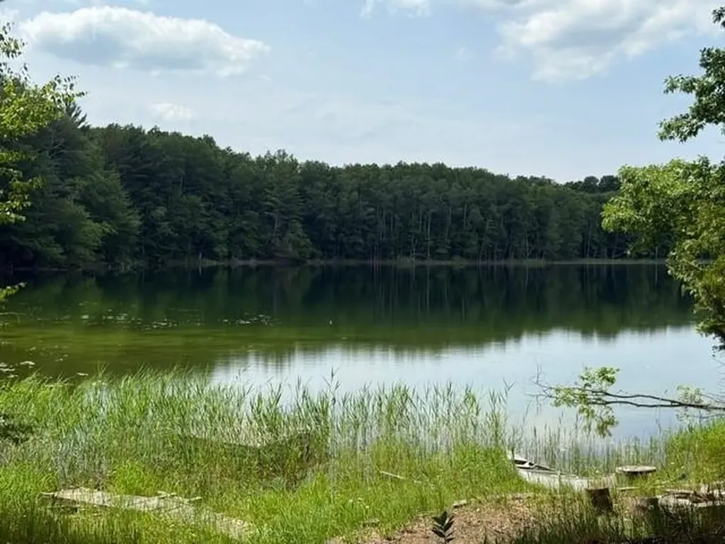 16568 Wagner Road Almira Township MI 49650