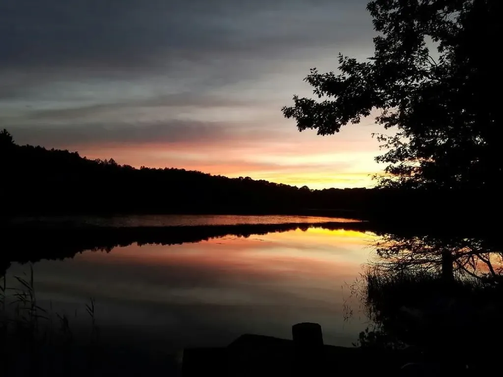16568 Wagner Road Almira Township MI 49650