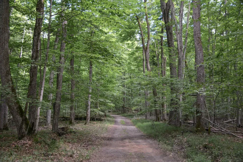 16568 Wagner Road Almira Township MI 49650