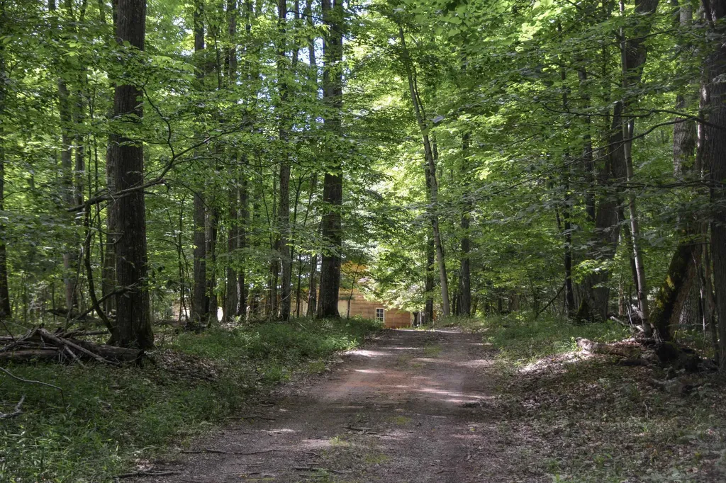 16568 Wagner Road Almira Township MI 49650