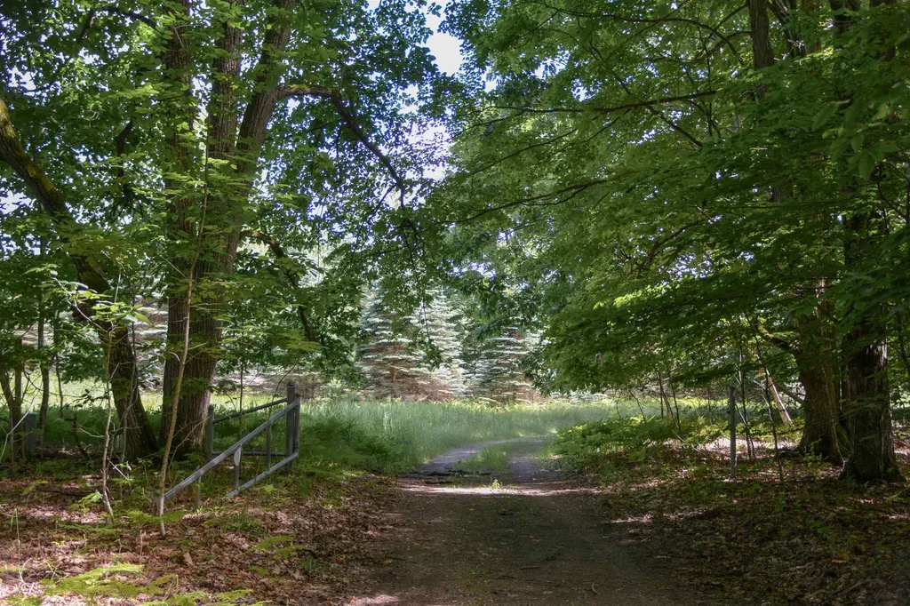 16568 Wagner Road Almira Township MI 49650