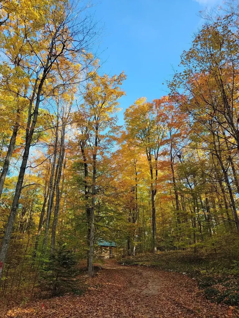 16568 Wagner Road Almira Township MI 49650