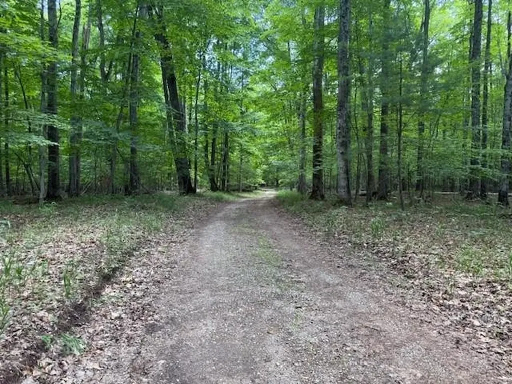16568 Wagner Road Almira Township MI 49650