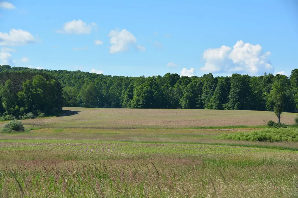 3102 S 9 Road Slagle Township MI 49638