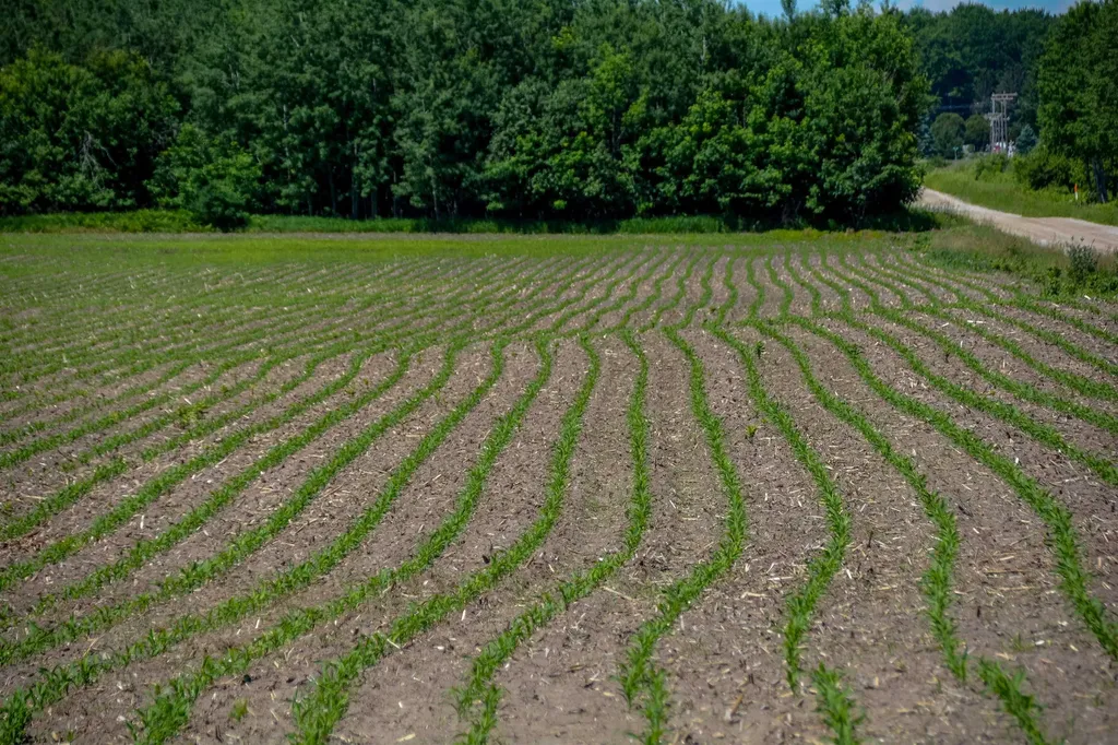 3102 S 9 Road Slagle Township MI 49638
