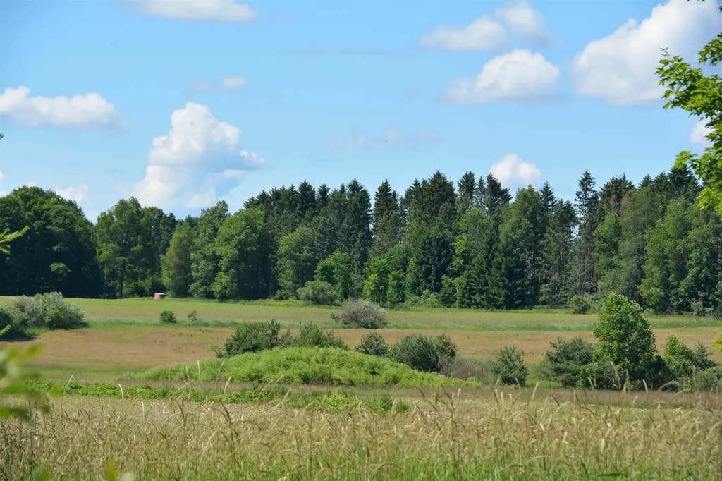3102 S 9 Road Slagle Township MI 49638