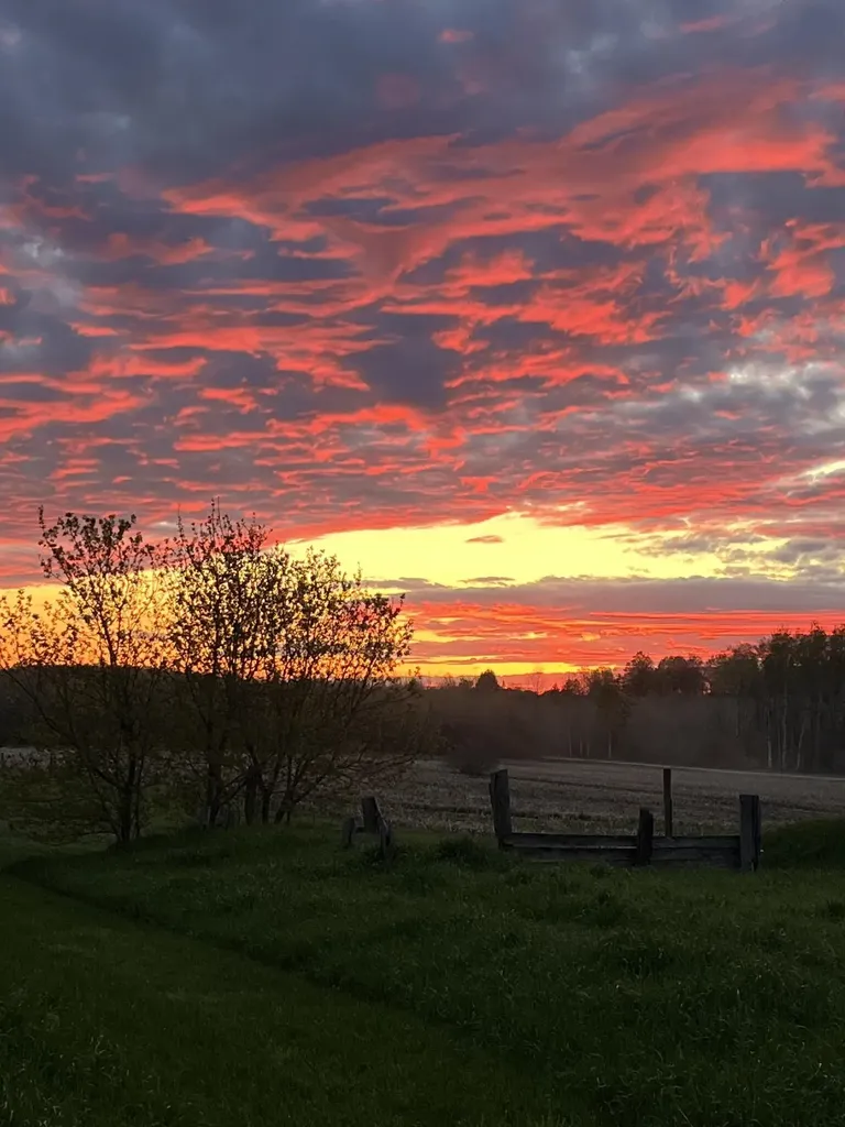 3102 S 9 Road Slagle Township MI 49638