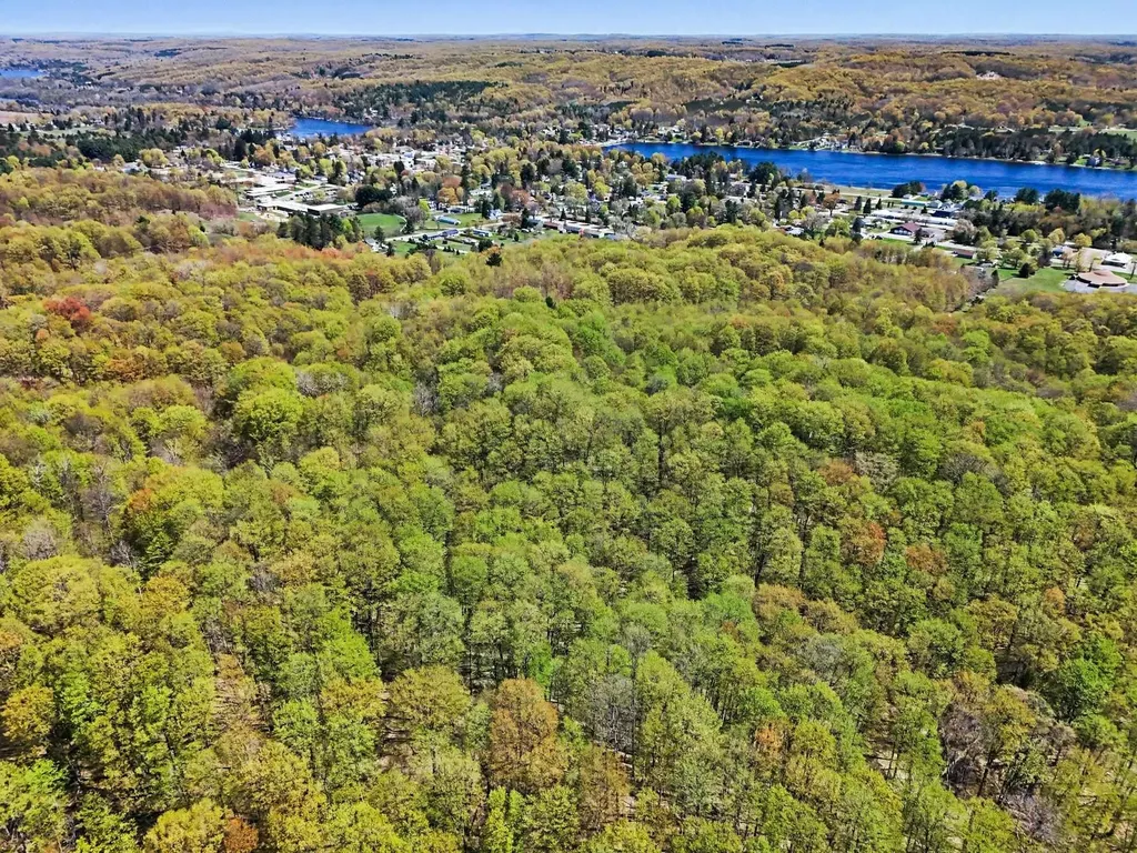 Parcel C Dawson Lane Central Lake Township MI 49622