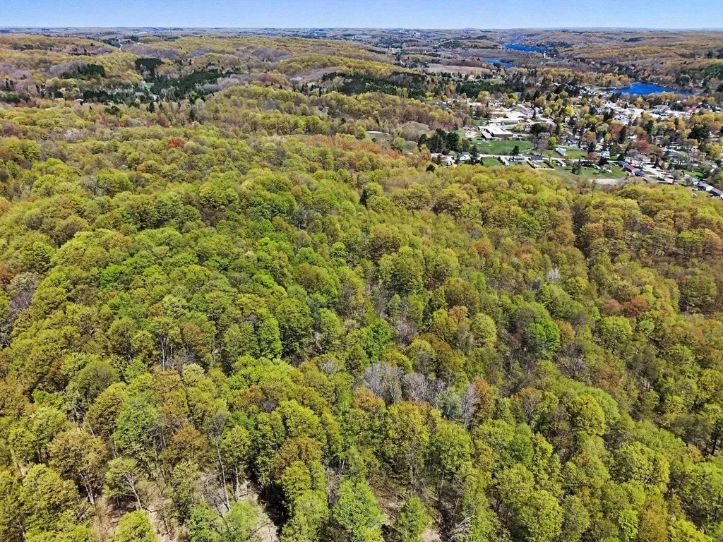 Parcel C Dawson Lane Central Lake Township MI 49622