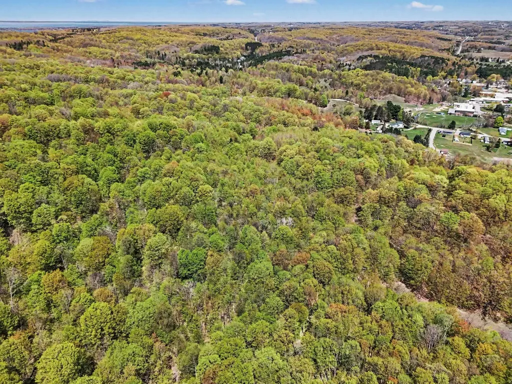 Parcel C Dawson Lane Central Lake Township MI 49622