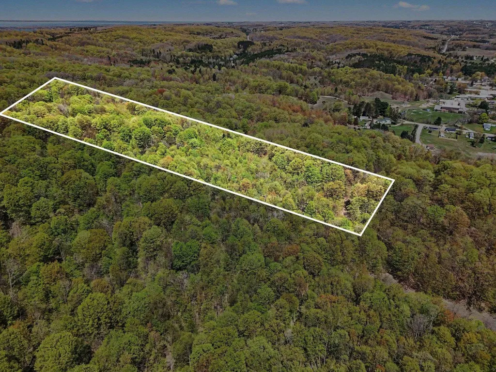 Parcel C Dawson Lane Central Lake Township MI 49622