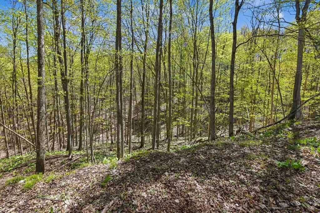 Parcel C Dawson Lane Central Lake Township MI 49622