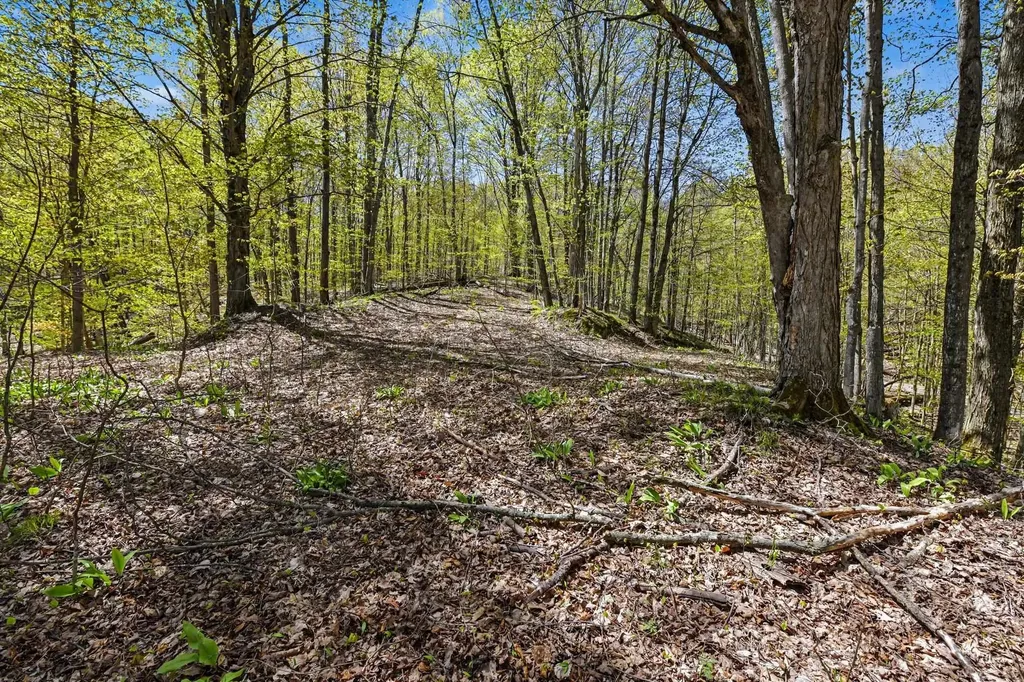 Parcel C Dawson Lane Central Lake Township MI 49622