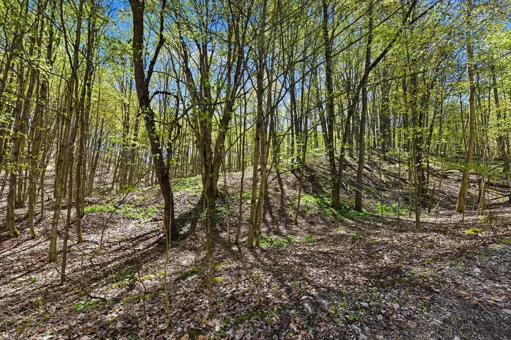 Parcel C Dawson Lane Central Lake Township MI 49622