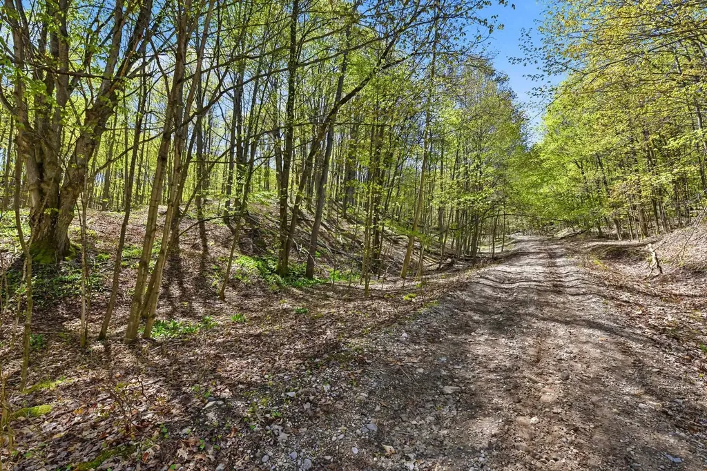 Parcel C Dawson Lane Central Lake Township MI 49622