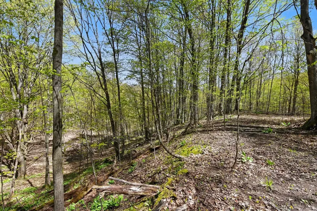 Parcel C Dawson Lane Central Lake Township MI 49622