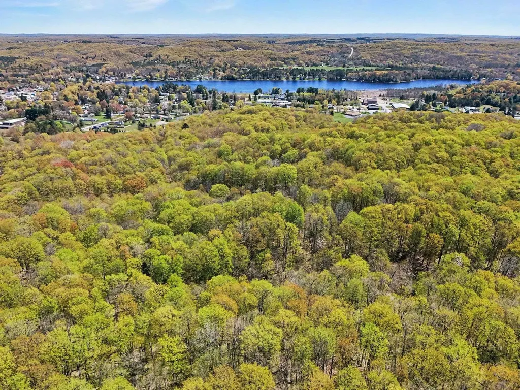 Parcel C Dawson Lane Central Lake Township MI 49622